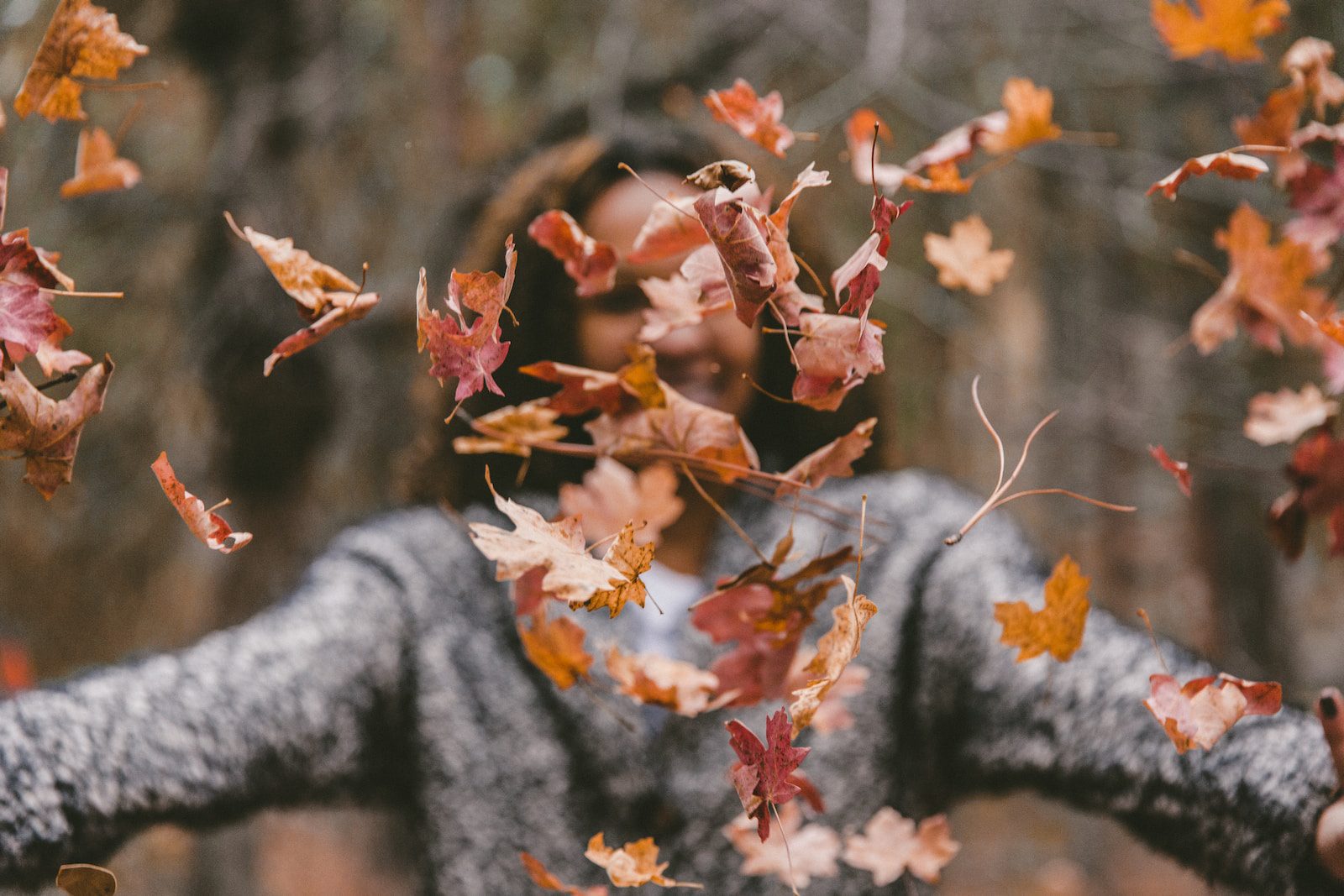 Autumn Outreach